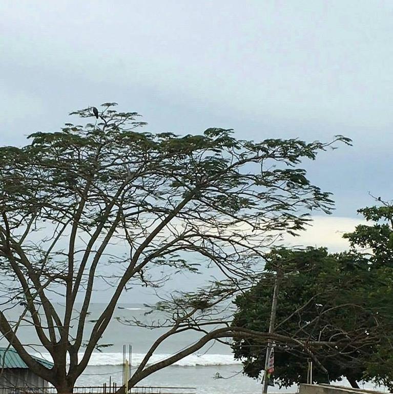 Gold Coast Resort Weligama Ngoại thất bức ảnh